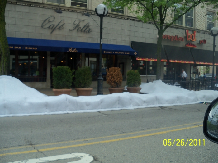 100_5882 [800x600].JPG